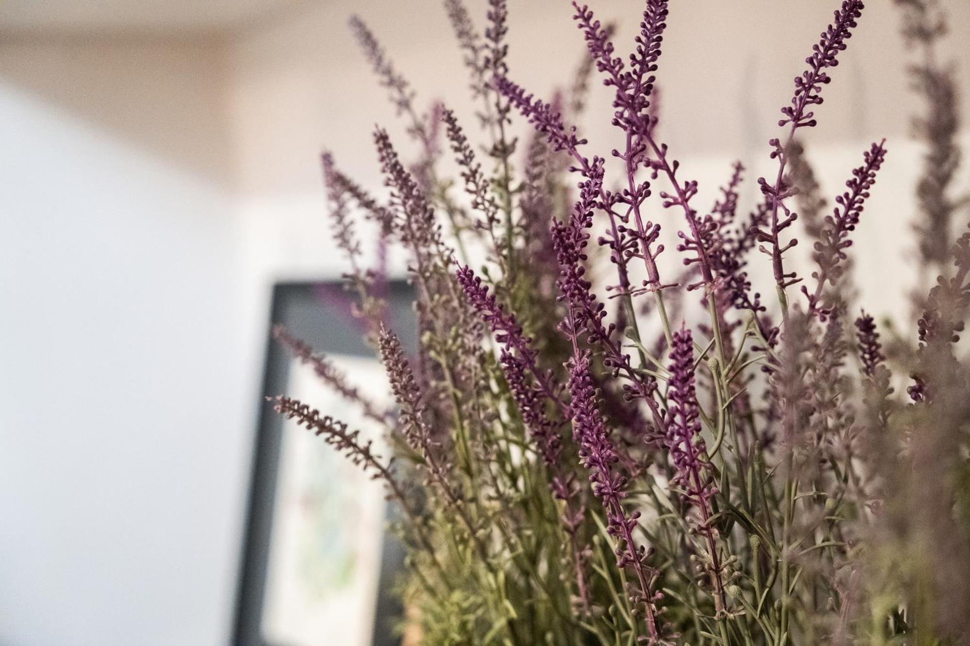 Mirone - Suite Apartments Catania Centro エクステリア 写真