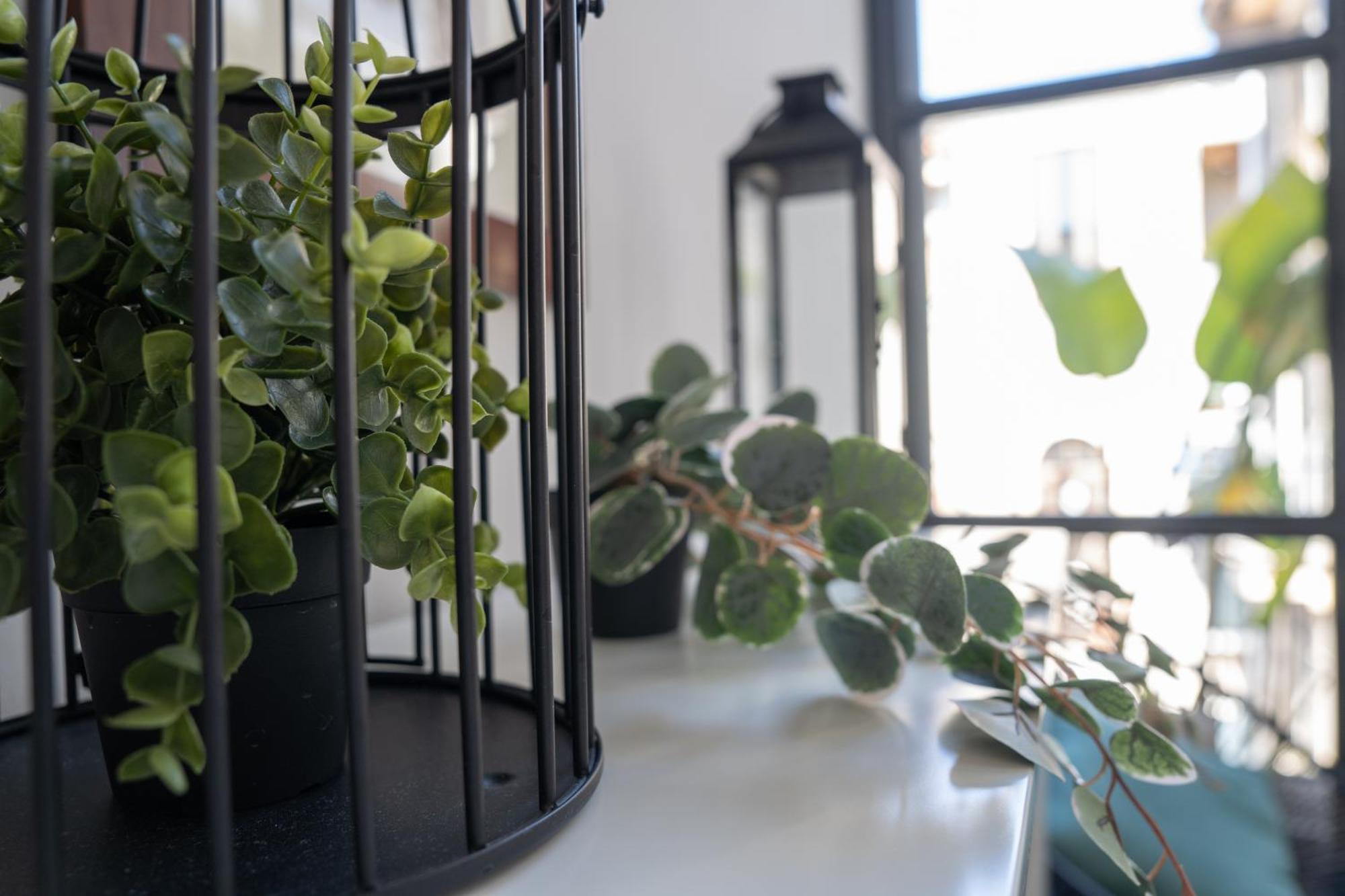 Mirone - Suite Apartments Catania Centro エクステリア 写真